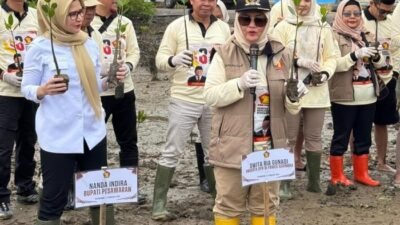 “Peringati HUT Gerindra, Legislator Tanam 1.000 Mangrove di Lampung”