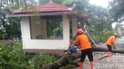 Hujan Angin Membuat 3 Rumah Tercapai di Cibinong Bogor, Pohon Tumbang Menyebabkan Kerusakan