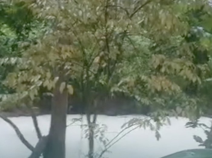 Data Mengejutkan: Sungai Cisadane Tercemar Pestisida, Warga Menderita