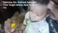 Ayah di NTT Paksa Bayi 11 Bulan Minum Miras, Polisi Segera Turun Tangan