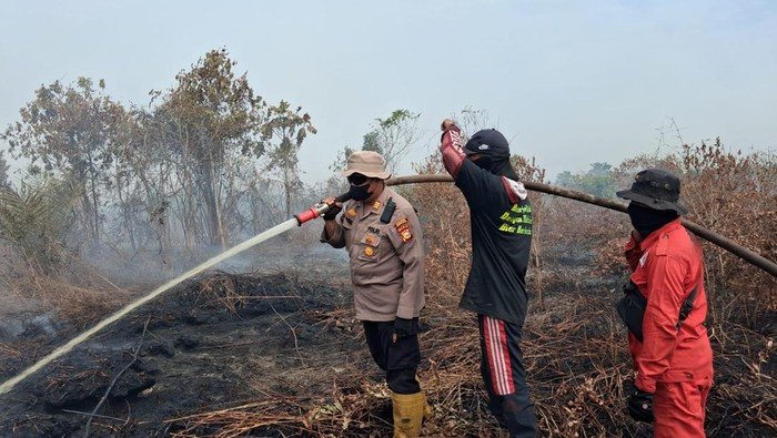 Api Meneror Bengkalis, Polisi-TNI Berjuang Nyatakan Kebakaran 10 Hektare!