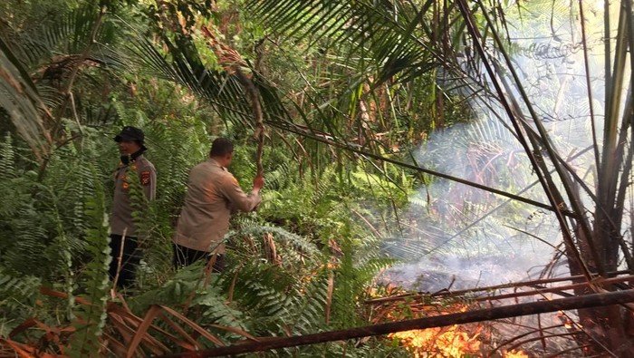 110 Menjadi Penyelamat! Polisi, TNI, dan BPBD Cepat Padamkan Kebakaran Lahan di Riau