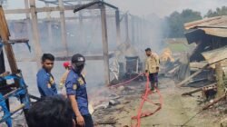 **Kadang Ternak di Boyolali Kebakaran, Ribuan Ayam Mati Terpanggang: Tragedi di Kecamatan Ngemplak**