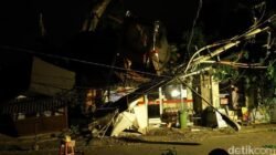 Beringin Raksasa 25 Meter di Ubud Tumbang, Timpa Resto-Mobil: Tragedi Alam yang Menghentak!