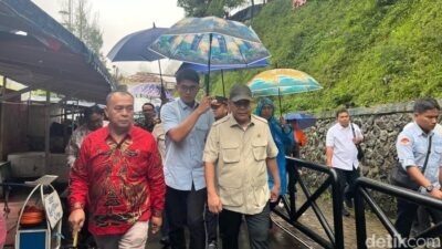 “Guci Tegal Setelah Banjir Bandang: Muzani Soroti Penebangan Hutan yang Meragukan”