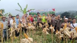 Dukung Ketahanan Pangan, Polisi Panen 1 Ton Jagung di Bogor – Update 1
