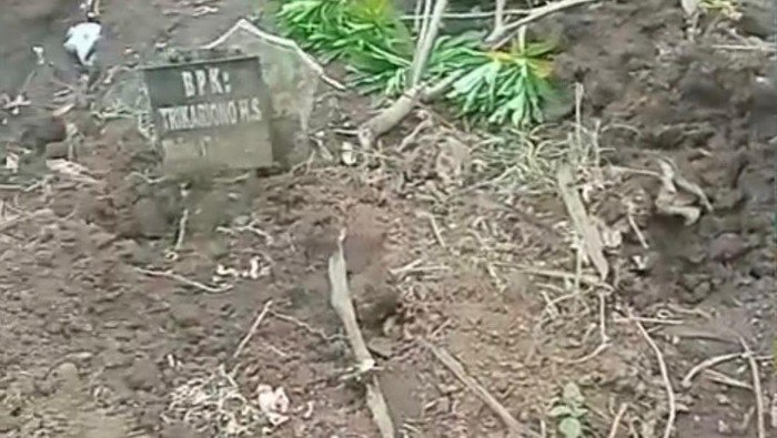 **Kabar Viral Puluhan Makam Berantakan di Batu Jatim, Ternyata Ulah Juru Kunci!**