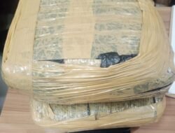 “Kurir Narkoba Antarkota Tertangkap: 2 Kg Ganja Disita, Polres Bekasi Kota Berantas Penyaluran”
