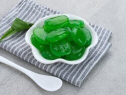 “Populer Jadi Menu Takjil, Kolang-kaling Ampuh Lancarkan BAB? Ini Faktanya”