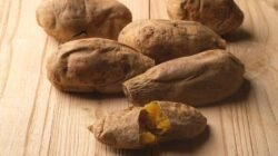 “Viral Tren Ubi Cilembu-Yogurt Buat Diet, Betulan Ngefek? Ini Kata Dokter Gizi.”