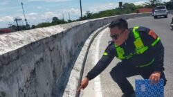 “Tragis! Wanita Tabrak Pembatas, Jatuh dari Flyover 15 Meter di Riau”