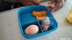 47 SPPG Ditutup Sementara oleh BGN karena Temuan Makanan Berbahaya, dari Roti Berjamur hingga Telur Busuk