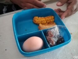 47 SPPG Ditutup Sementara oleh BGN karena Temuan Makanan Berbahaya, dari Roti Berjamur hingga Telur Busuk