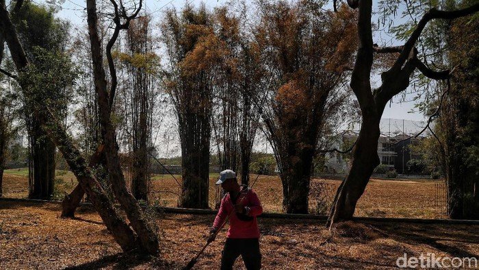 Kekeringan Ancam DKI, Warga Diminta Berhenti Bakar Sampah dan Hemat Air Sebelum Kemarau