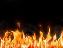 Tempat Budidaya Jamur di Bogor Ludes Terbakar Akibat Korsleting – Update 1