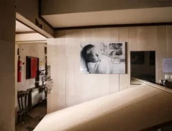 Dampak Serangan Udara AS-Israel pada Klinik Bayi Tabung Iran