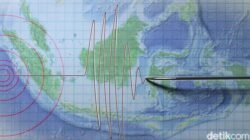 Gempa M 4,8 Guncang Bitung Sulut, Warga Berlarian ke Tempat Aman!