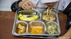 492 SPPG di Sumatera Ditutup, Buktikan Tak Punya Sertifikat Higienis!