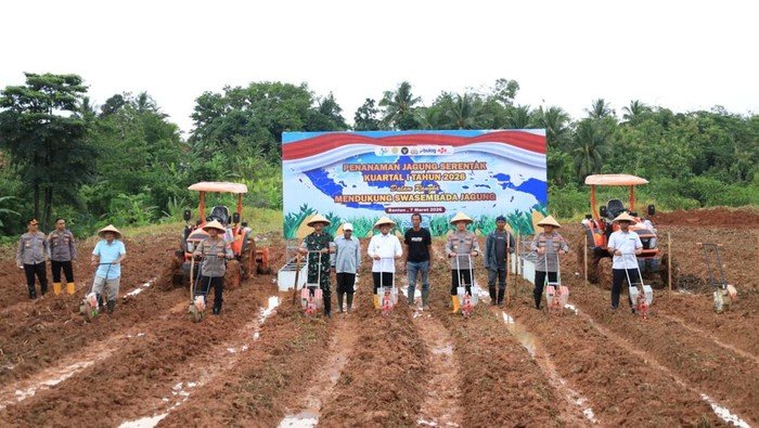 Kapolda Banten Ungkap Bulog Serap 2.997 Ton Jagung Hasil Panen pada 2025 - Update 1
