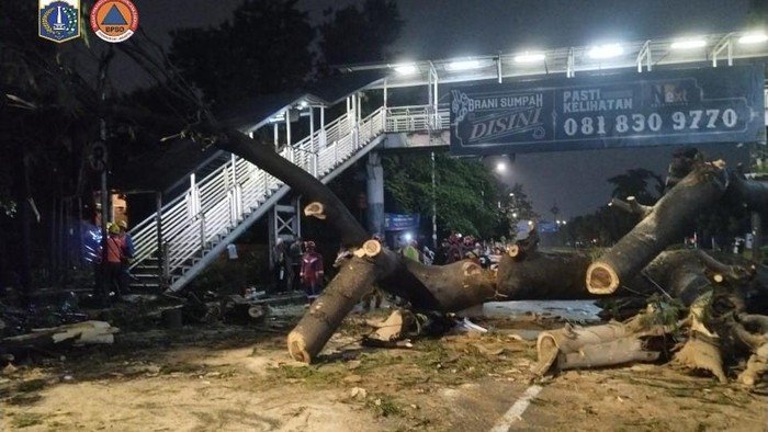 **Tragedi Pohon Raksasa di Jaksel: Hujan Kencang dan Angin Membuat Pengendara Motor Meninggal Dunia**