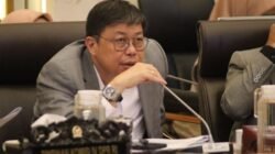 Stok Beras Melimpah, Komisi IV DPR Berniat Dukung Ekspor Agar Cegah Kebangkrutan!