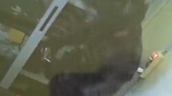 50 Gram Emas Raib, Masyarakat Gunung Putri Bogor Kecewa