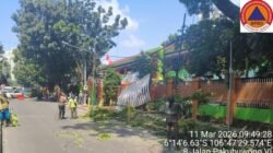 Tragedi Pohon Depan SMKN 3 Jakarta: 3 Orang Luka, Pertanyaan Besar Soal Keamanan Publik