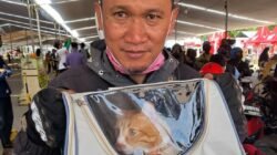 2 Kucing Kesayangan Pasutri Ini Bantu Perkuat Cinta di Perjalanan Mudik 700 Km