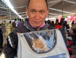 2 Kucing Kesayangan Pasutri Ini Bantu Perkuat Cinta di Perjalanan Mudik 700 Km