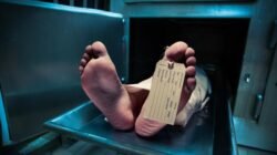 Diduga Sakit, Pemudik Asal Cianjur Meninggal Misterius di Pinggir Jalan Cileungsi, Apa yang Terjadi?