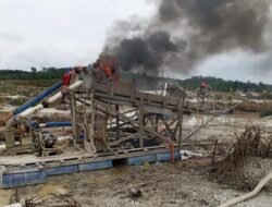 PETI Terbongkar! Polda Riau Musnahkan Ribuanku Rakit Selama 2025-2026