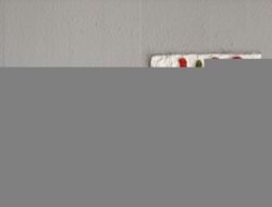 “Toilet Umum saat Mudik Menjadi Masalah? Ini Tips Dokter untuk Jaga Kebersihan Area Intim!”