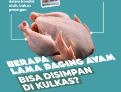 [Infografis: Berapa Lama Daging Ayam Bisa Disimpan di Kulkas?]