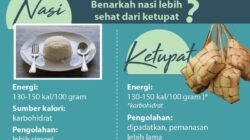 Nasi vs. Ketupat: Mana yang Lebih Baik untuk Dietmu? Infografis Komparasi Total Kalori hingga Energi yang Diberikan