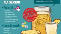 Infografis: Manfaat Tepache, Ramuan Probiotik Tradisional dari Meksiko untuk Pencernaan