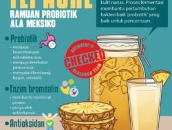 Infografis: Manfaat Tepache, Ramuan Probiotik Tradisional dari Meksiko untuk Pencernaan