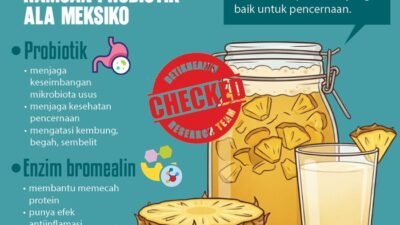 Infografis: Manfaat Tepache, Ramuan Probiotik Tradisional dari Meksiko untuk Pencernaan