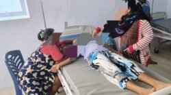 Kasus Keracunan Makanan, DPR Rekomendasikan Larangan Daging Anjing dan Kucing di Indonesia