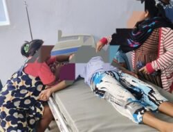 Kasus Keracunan Makanan, DPR Rekomendasikan Larangan Daging Anjing dan Kucing di Indonesia